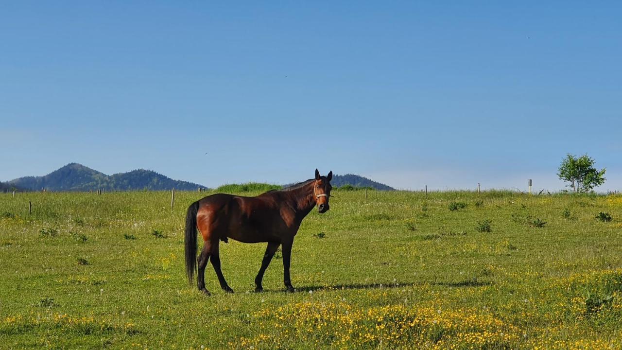 Vila Doliny Konská Εξωτερικό φωτογραφία
